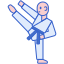 跆拳道 icon