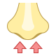 nos
