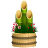 Pine Decoration icon