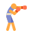 boxe-tipo-pelle-2 icon