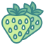strawberry icon