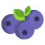 external-blueberry-vegan-icongeek26-flat-icongeek26 icon