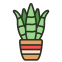 Sansevieria icon