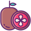 Passionsfrucht icon