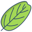 Smoke Tree Leaf icon