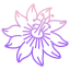 passion icon