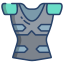 Shoulder Plackart Armor icon