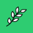 branch icon