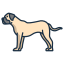 bullmastiff icon