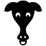funny animal icon