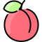 cherry tomato icon