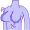 breast implant icon