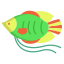 dwarf gurami fish icon