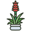 guzmania icon