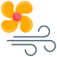 air icon