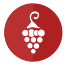 fruit icon