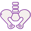 pélvis icon