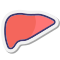 Fígado icon