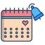 Date icon