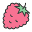 Framboise icon