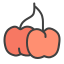 acerola icon