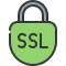 Ssl icon