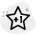 Single star rating for the below the average performance icon