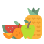 Fruits icon