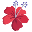 flor de hibisco externo-icongeek26-flat-icongeek26 icon