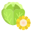 cabbage and corn icon