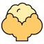 Coliflor icon