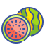 Watermelon icon