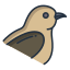 Oiseau icon