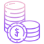 riel icon