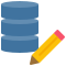 Edit Data icon