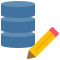 edit data icon