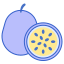 百香果 icon
