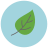 Leaf icon