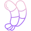 shrimp icon