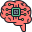 brain icon