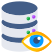 Database Monitoring icon
