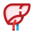 Hígado icon
