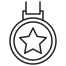 medal icon