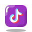 TikTok icon