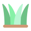 Forêt icon