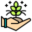plant growth icon