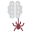 Brain And Spider icon