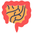 Intestine icon