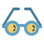 Glasses icon