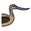 avoceta-externa-aves-icongeek26-color-lineal-icongeek26 icon